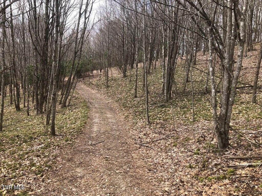 Photo #16: 00 Helton Creek Lane