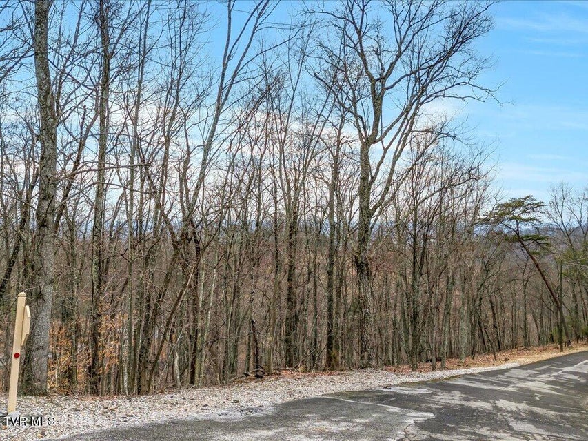 Photo #4: 1126 Keetoowah Drive