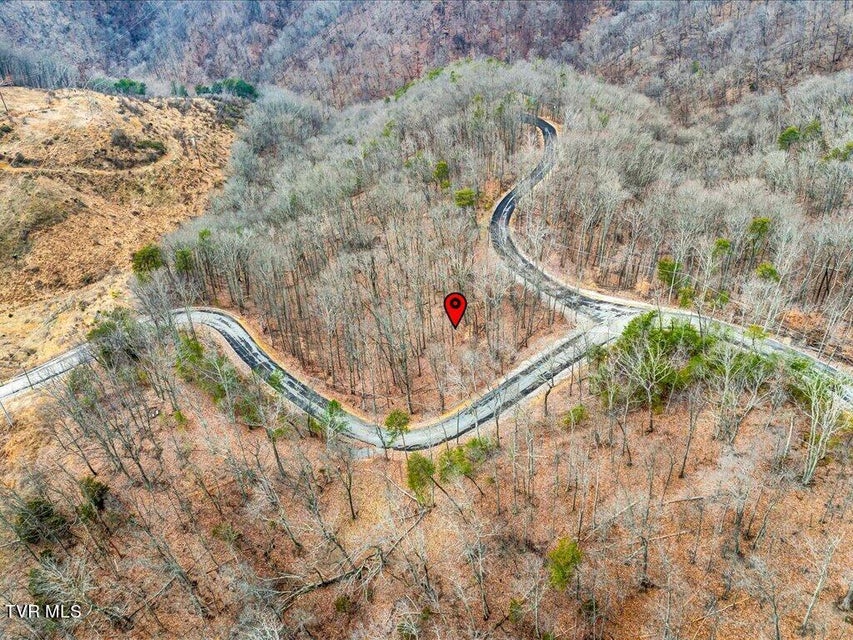 Photo #31: 1126 Keetoowah Drive