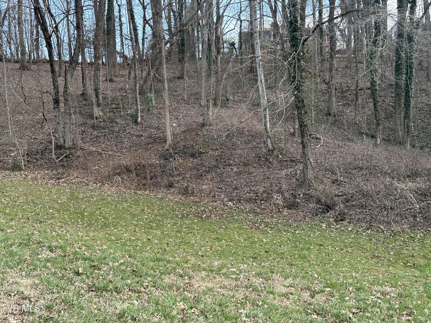 Photo #7: 126 Maple Crest