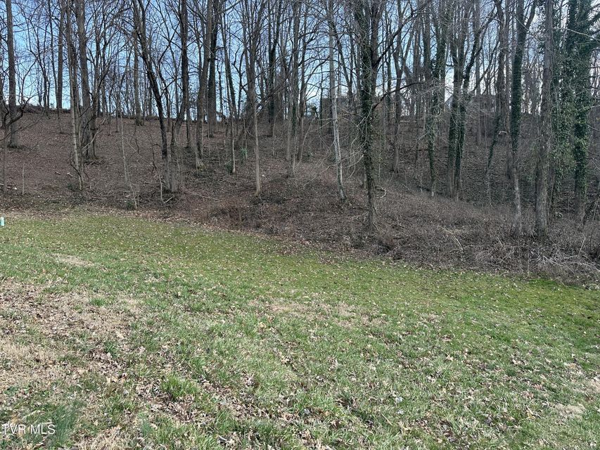 Photo #2: 126 Maple Crest