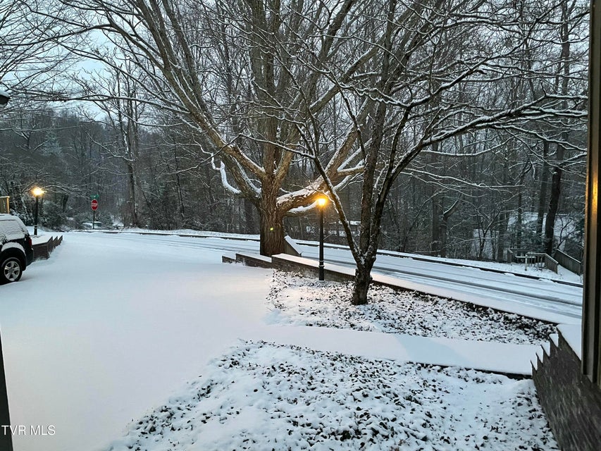 Photo #88: 3601 Honeywood Drive