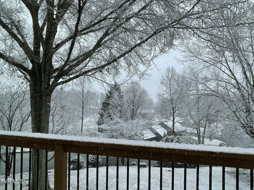 Photo #92: 3601 Honeywood Drive