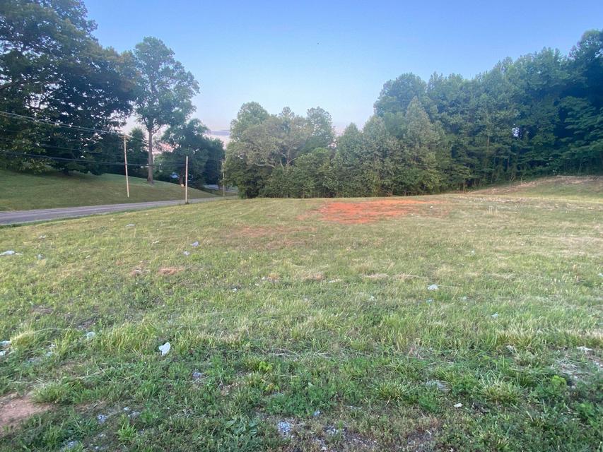 Photo #4: 00 Erwin Highway