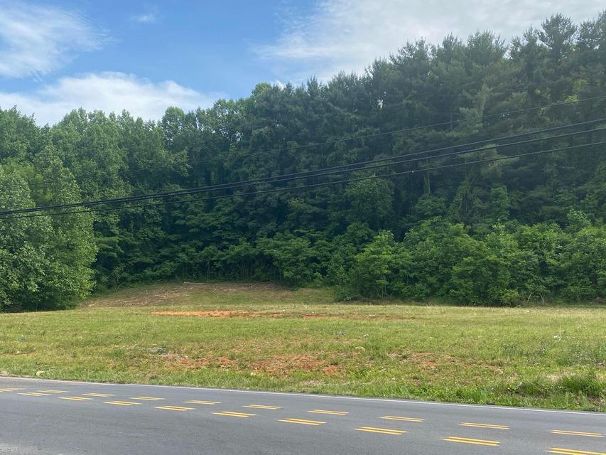 Photo #7: 00 Erwin Highway