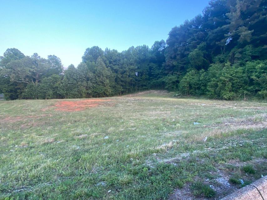 Photo #13: 00 Erwin Highway