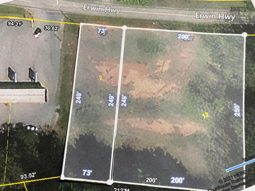 Photo #15: 00 Erwin Highway