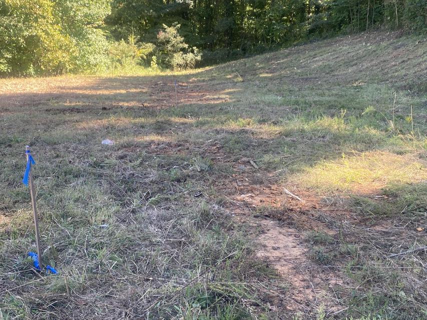 Photo #22: 00 Erwin Highway