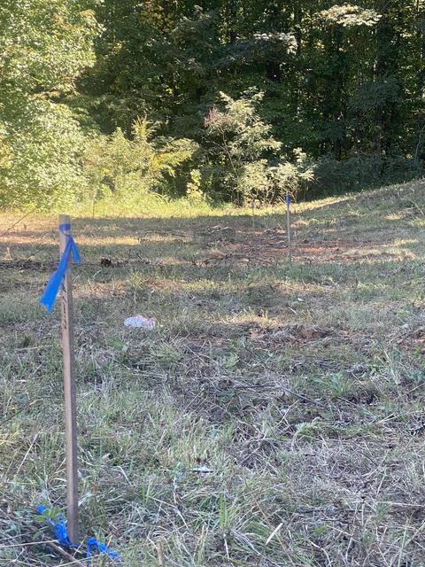 Photo #23: 00 Erwin Highway