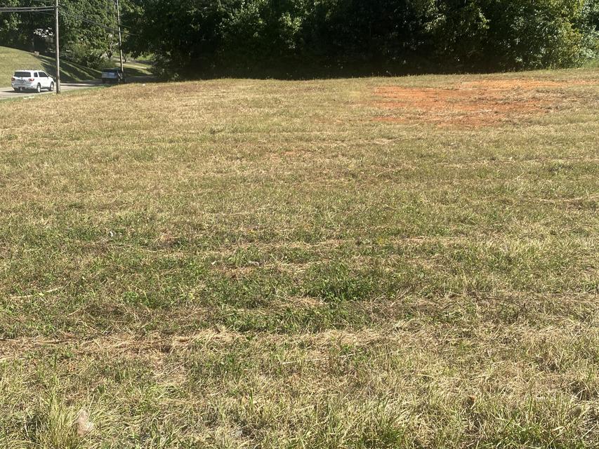 Photo #28: 00 Erwin Highway