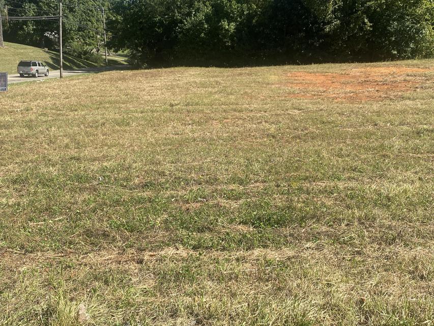 Photo #29: 00 Erwin Highway