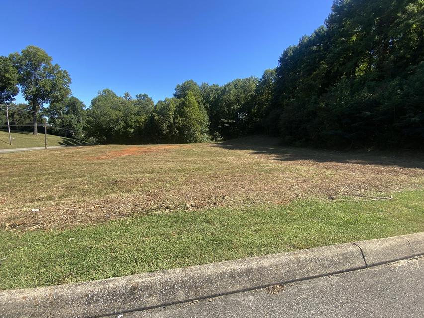 Photo #30: 00 Erwin Highway