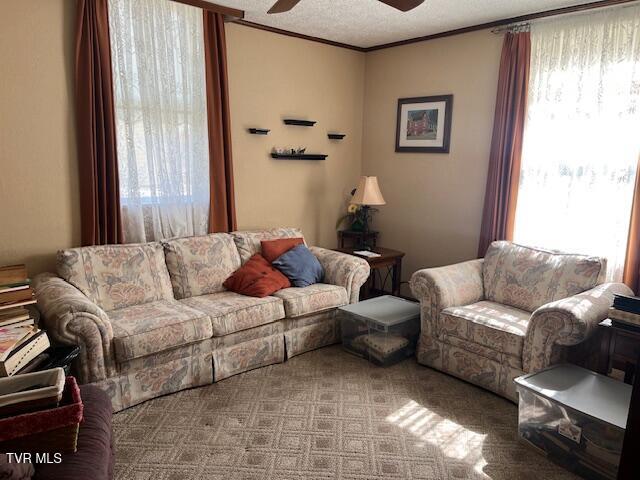 Photo #14: 221 5th Street