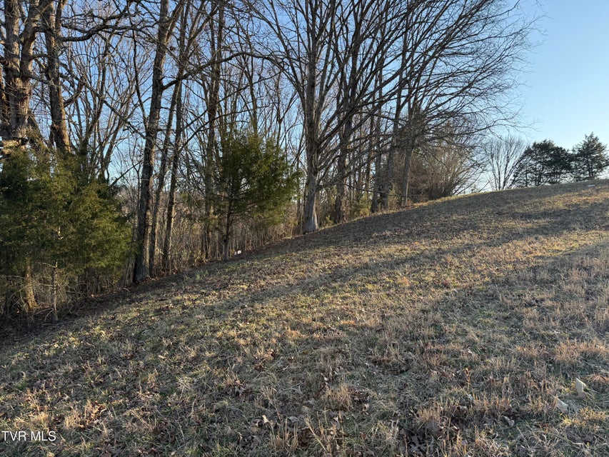 Photo #51: 130 Sparks Rd Road