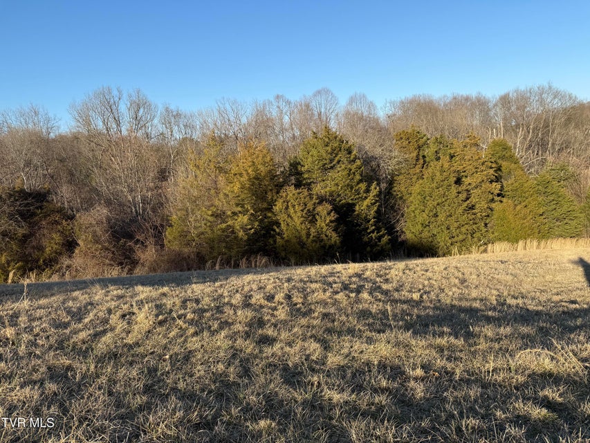 Photo #54: 130 Sparks Rd Road
