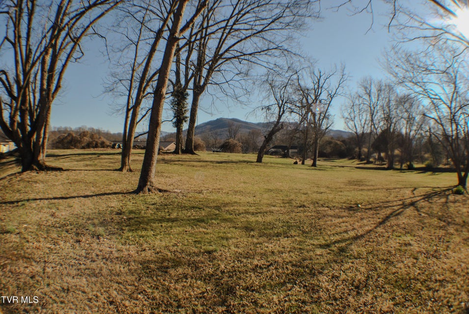 Photo #11: 804 Maple Street