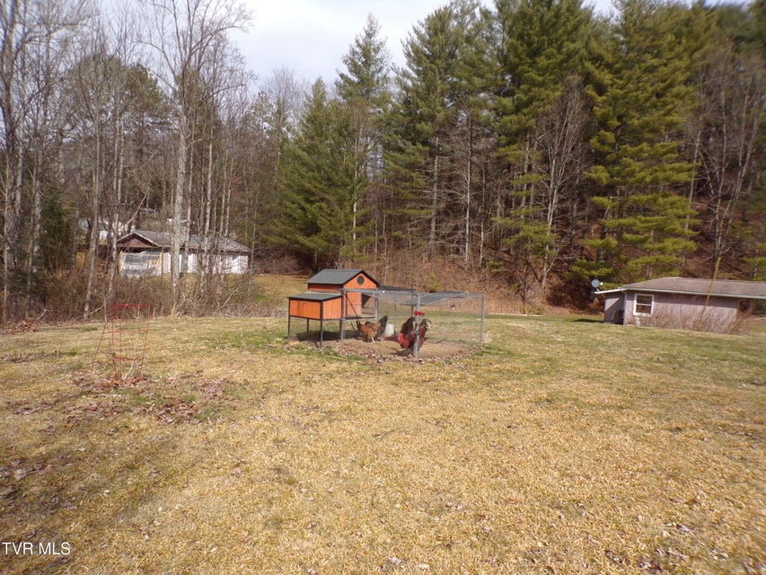 Photo #94: 955 Beechtree Road