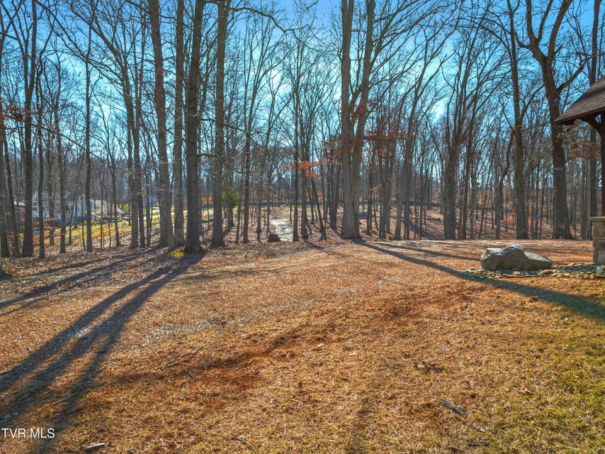 Photo #20: 463 Heather Brook Drive