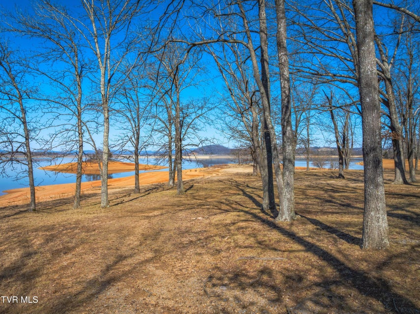 Photo #30: 463 Heather Brook Drive