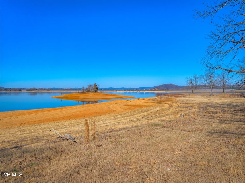 Photo #33: 463 Heather Brook Drive
