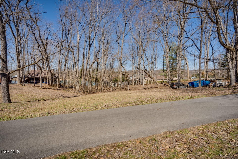Photo #9: Tbd Boonewood Pvt Drive