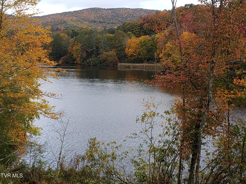 Photo #25: 368 Ripshin Lake Road