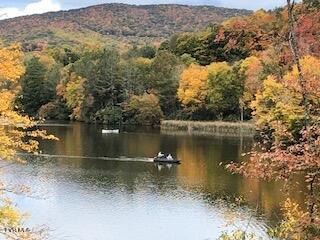 Photo #26: 368 Ripshin Lake Road
