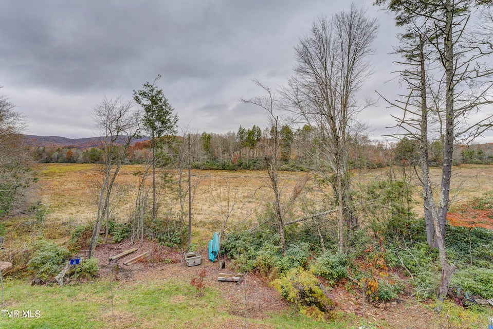 Photo #73: 368 Ripshin Lake Road