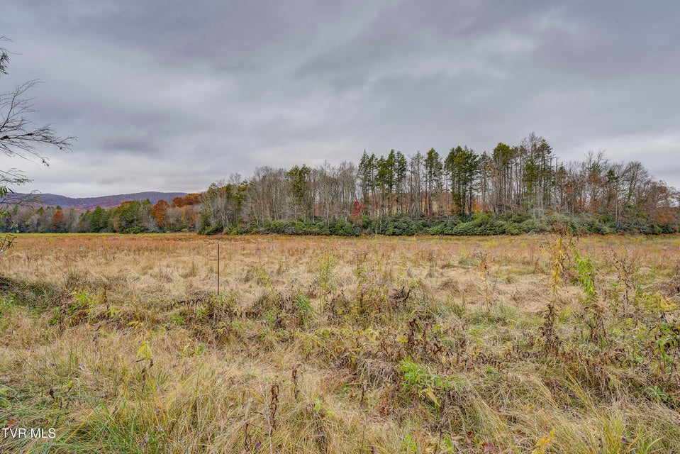 Photo #80: 368 Ripshin Lake Road