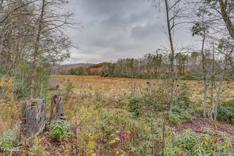 Photo #82: 368 Ripshin Lake Road