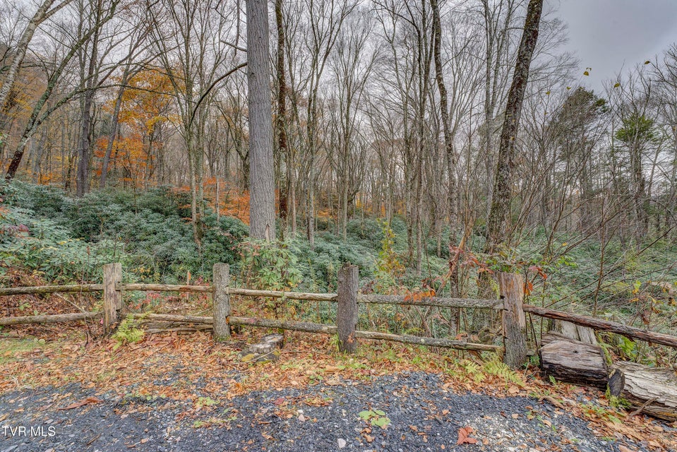 Photo #87: 368 Ripshin Lake Road