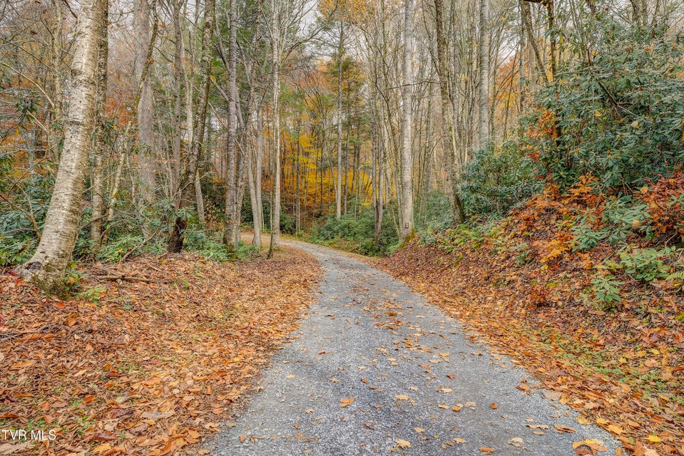 Photo #88: 368 Ripshin Lake Road