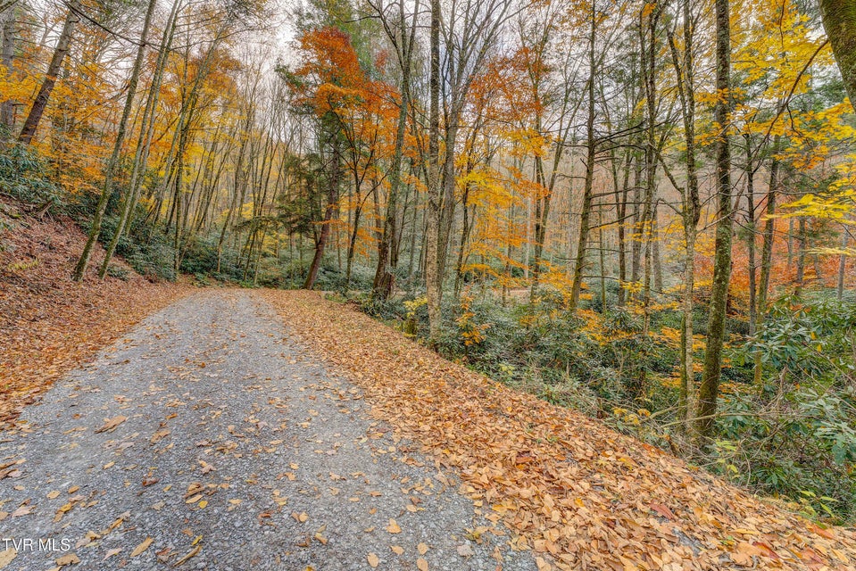 Photo #89: 368 Ripshin Lake Road