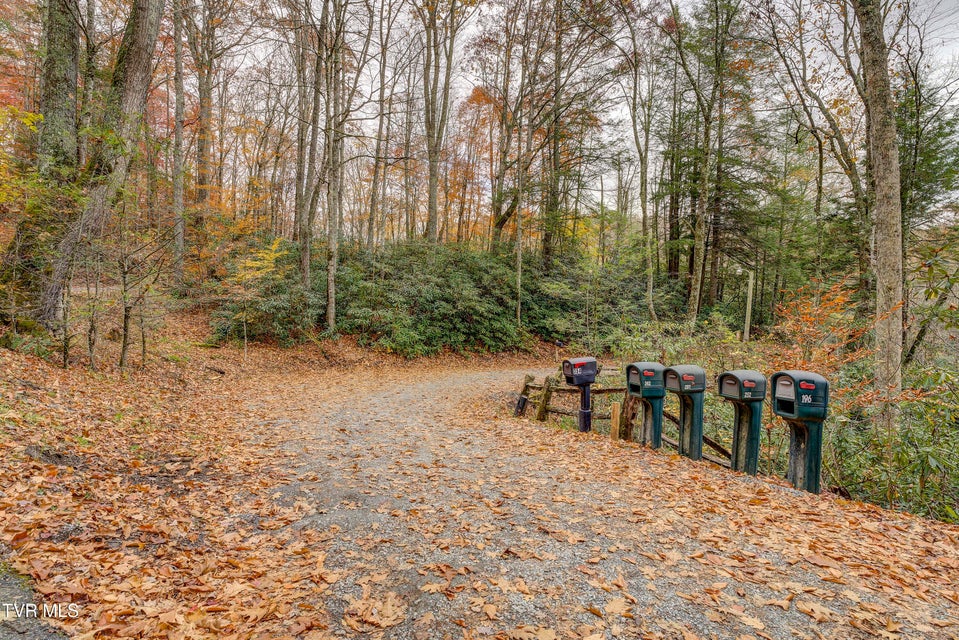 Photo #90: 368 Ripshin Lake Road