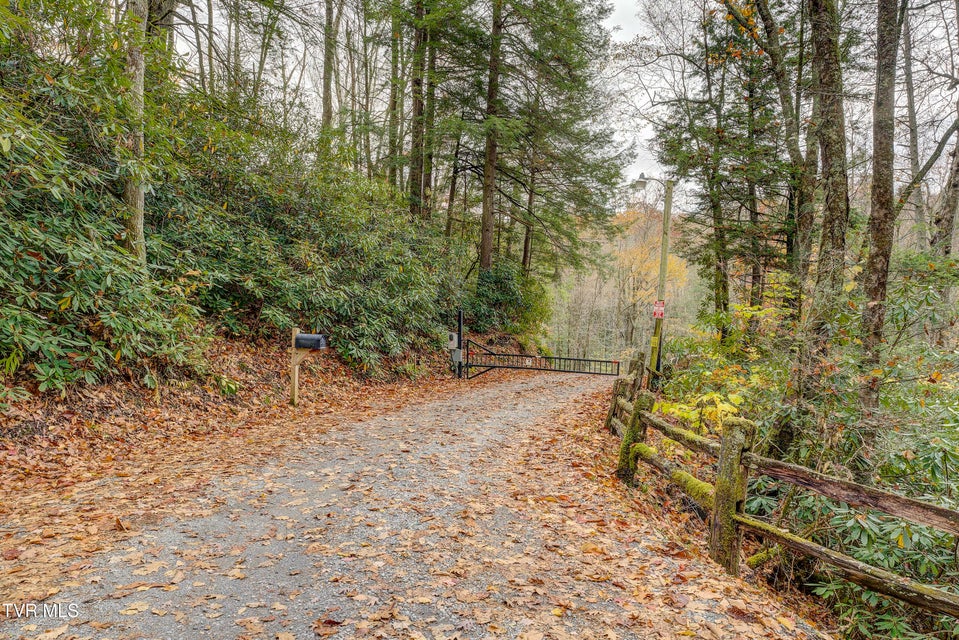 Photo #91: 368 Ripshin Lake Road