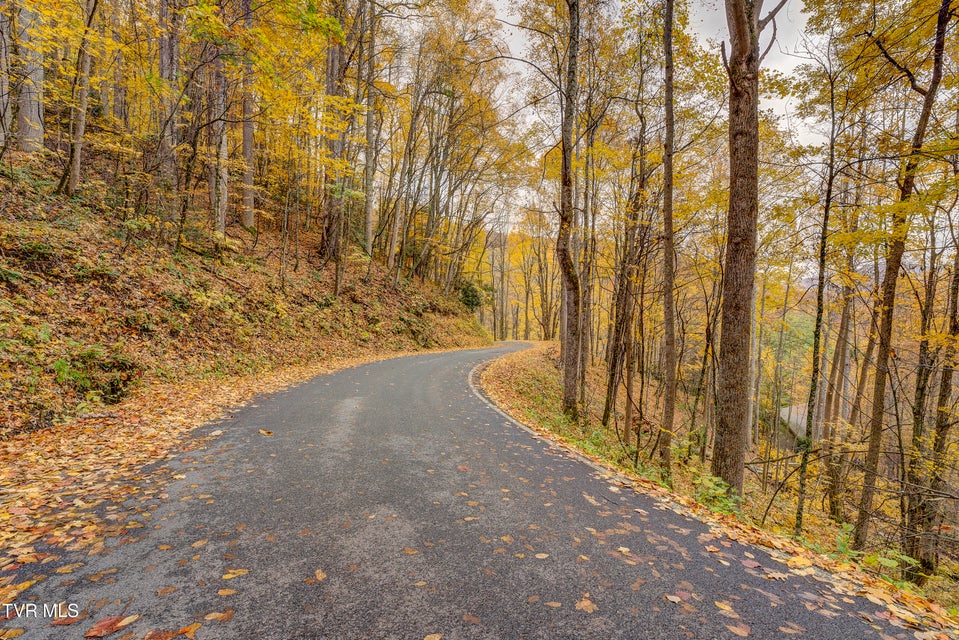 Photo #92: 368 Ripshin Lake Road