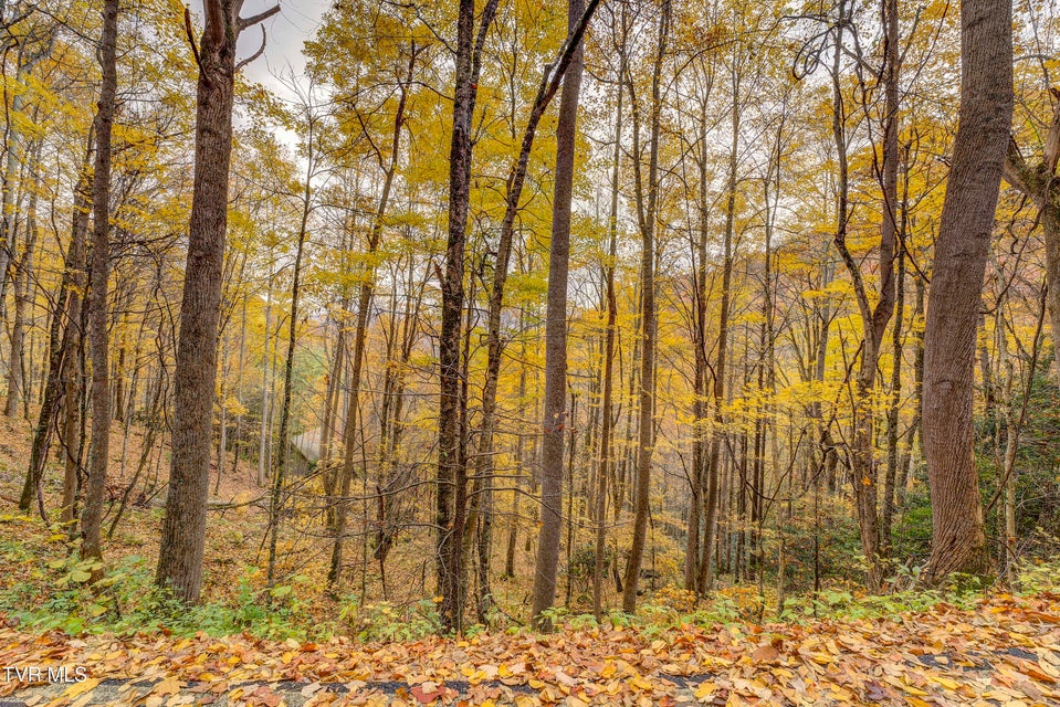Photo #93: 368 Ripshin Lake Road