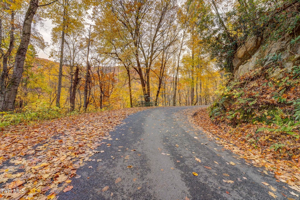 Photo #94: 368 Ripshin Lake Road