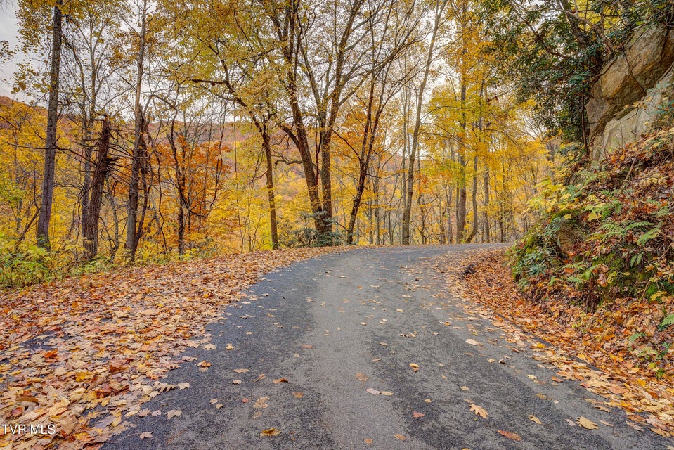 Photo #95: 368 Ripshin Lake Road