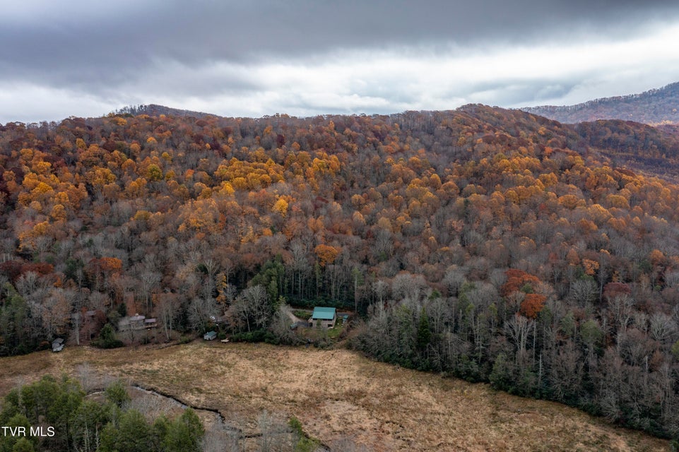 Photo #97: 368 Ripshin Lake Road