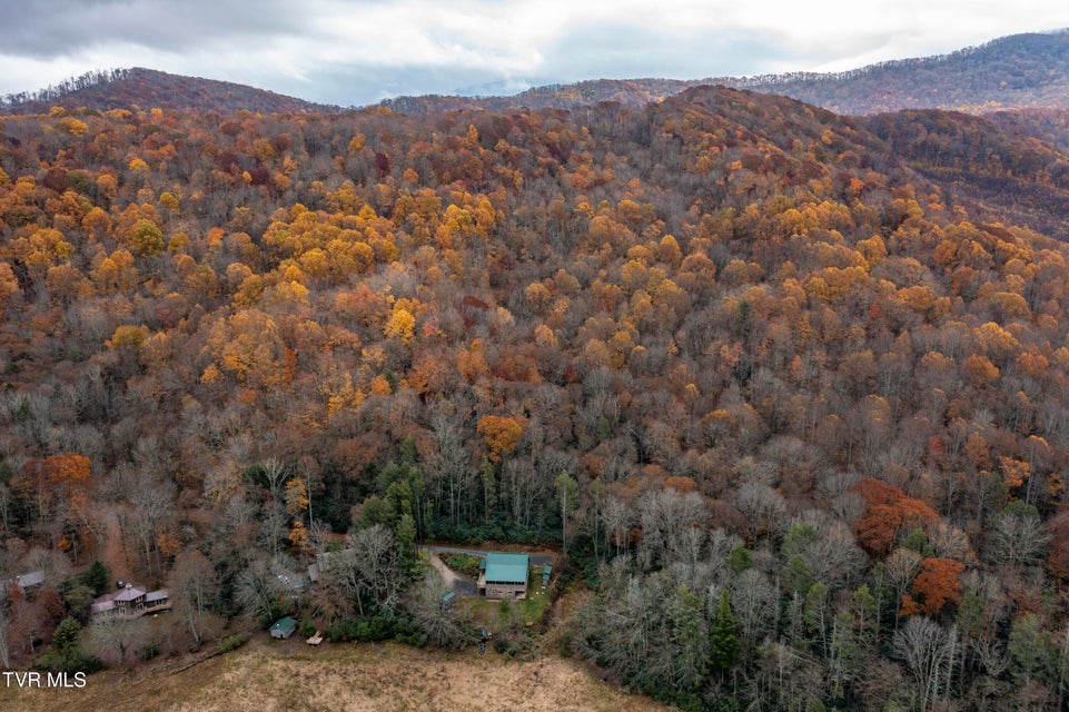 Photo #98: 368 Ripshin Lake Road