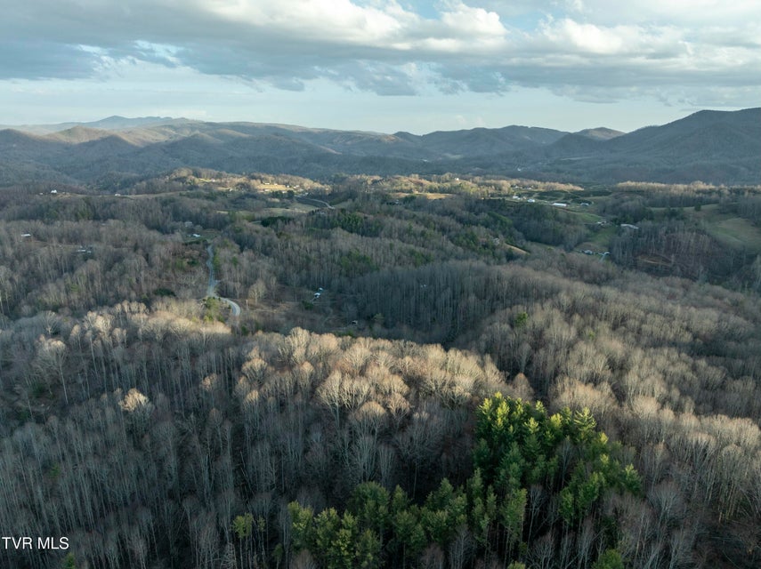 Photo #9: Tbd Buck Mountain Road