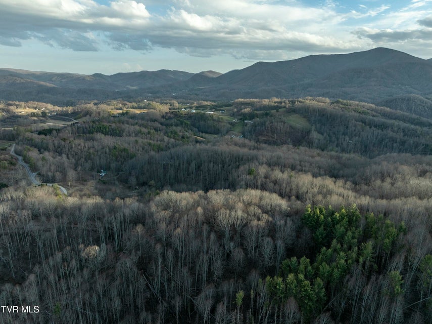 Photo #10: Tbd Buck Mountain Road