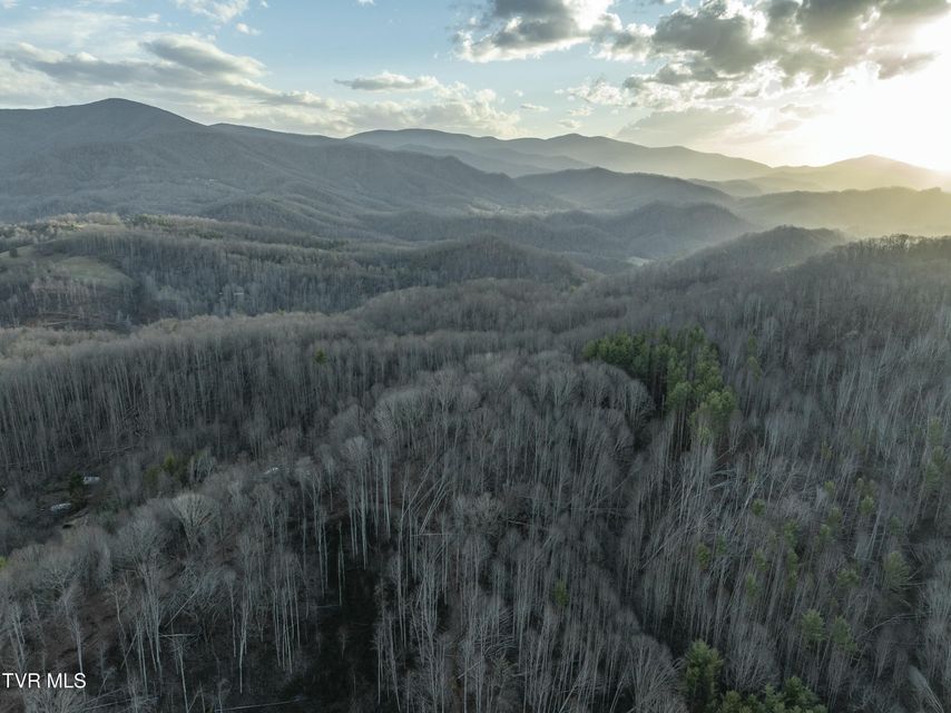 Photo #11: Tbd Buck Mountain Road