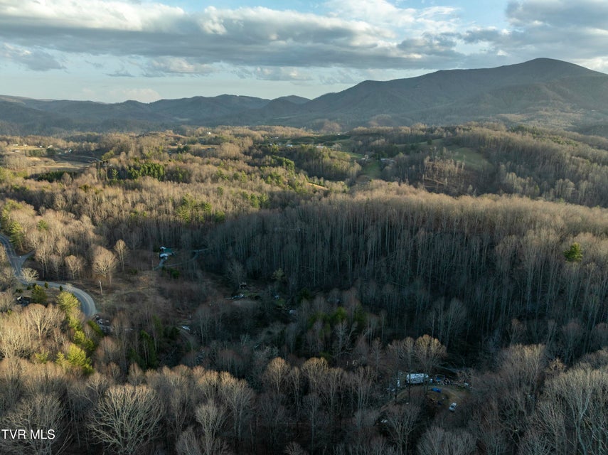 Photo #18: Tbd Buck Mountain Road