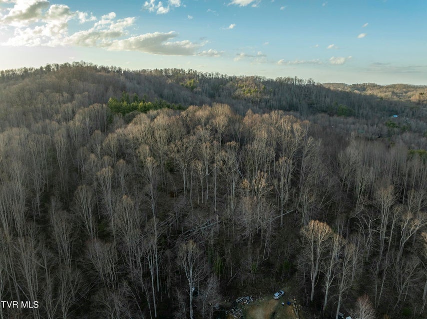 Photo #20: Tbd Buck Mountain Road