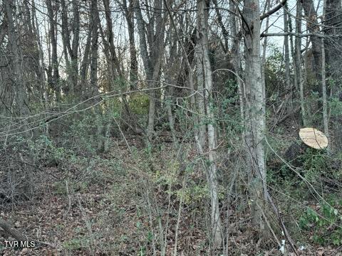 Photo #4: Tbd Briscoe Drive
