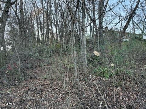 Photo #5: Tbd Briscoe Drive