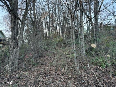 Photo #6: Tbd Briscoe Drive