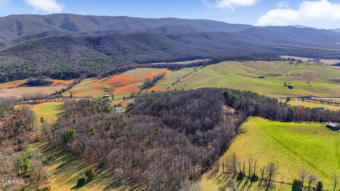 Photo #7: Tbd Crigger Creek 